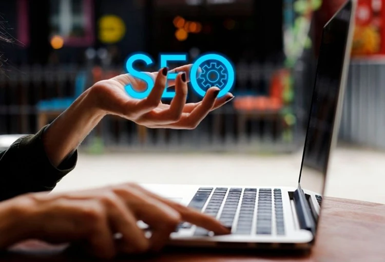 Feke Web Site Tasarımcı