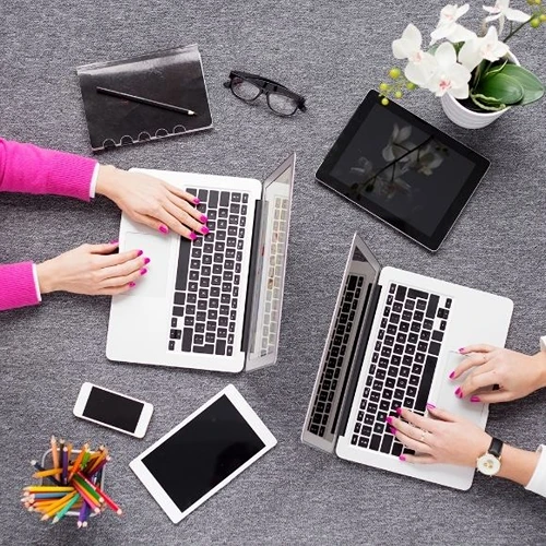 Feke Web Tasarımcı